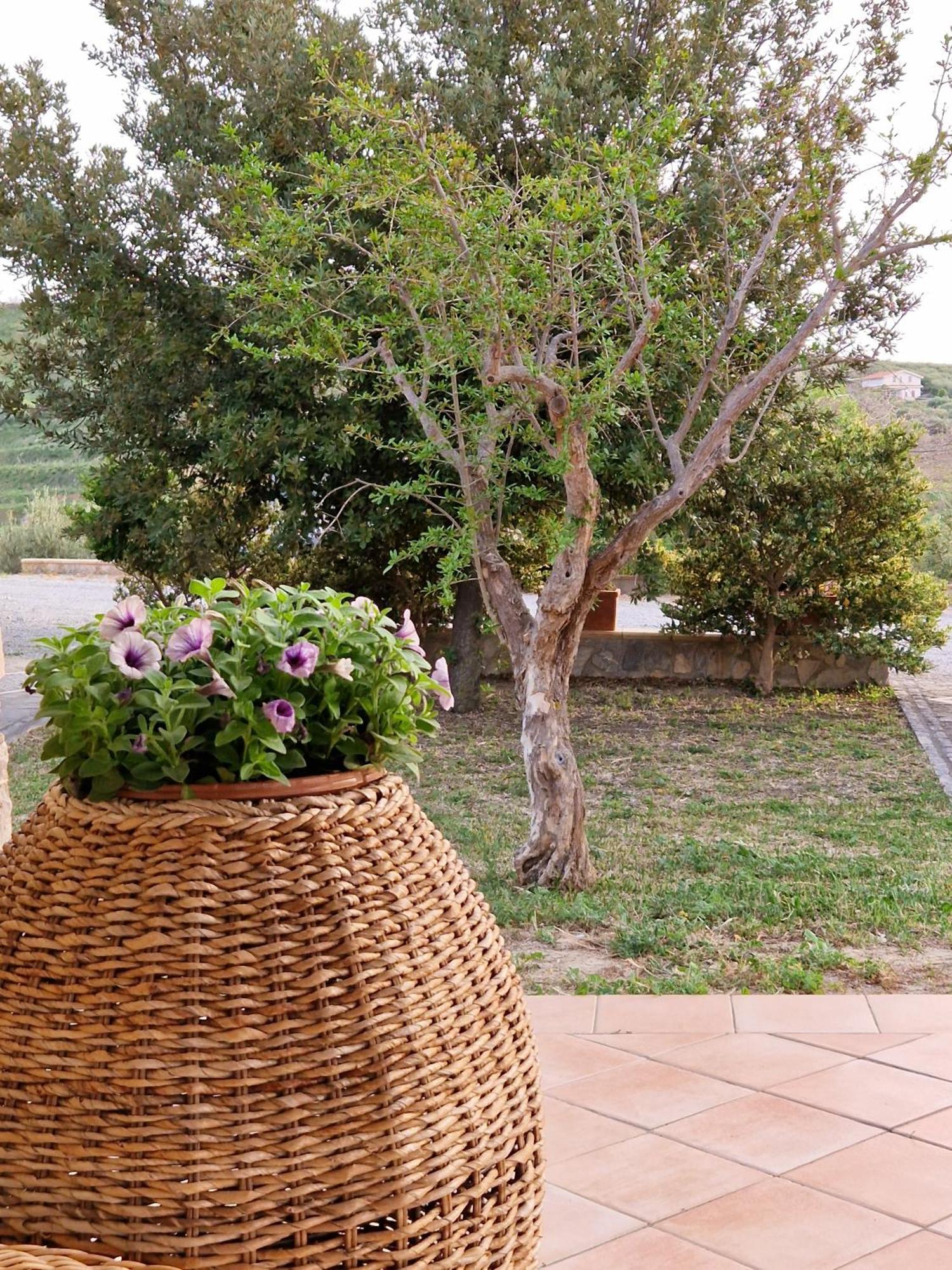 Villa Del Carrubo A Due Passi Dal Mare Di Cefalu Collesano Luaran gambar