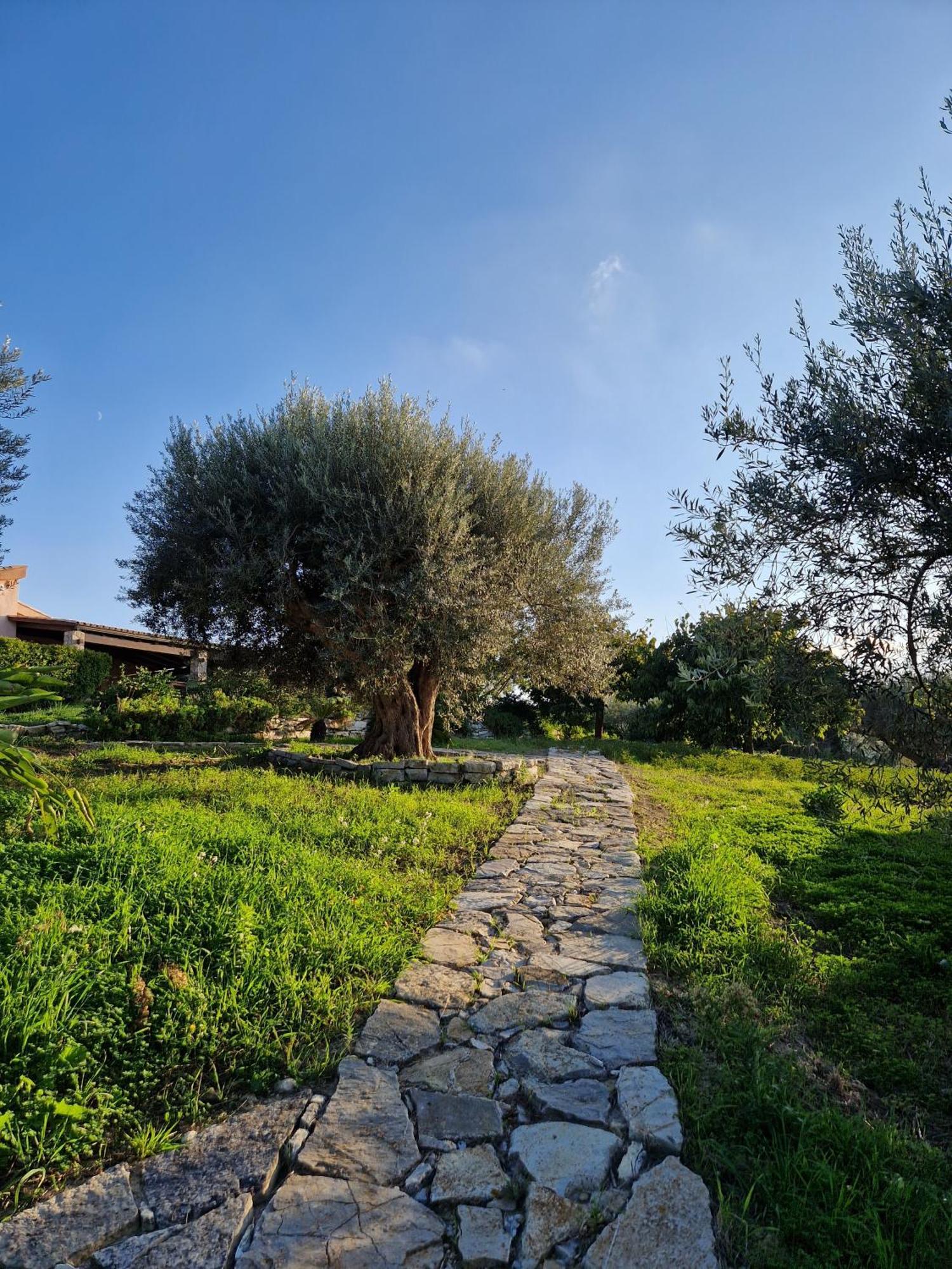 Villa Del Carrubo A Due Passi Dal Mare Di Cefalu Collesano Luaran gambar
