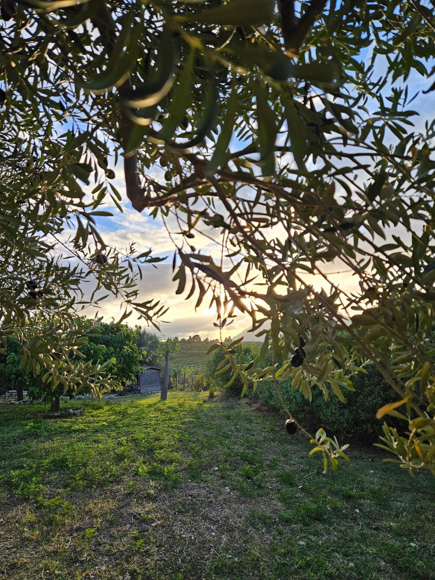 Villa Del Carrubo A Due Passi Dal Mare Di Cefalu Collesano Luaran gambar