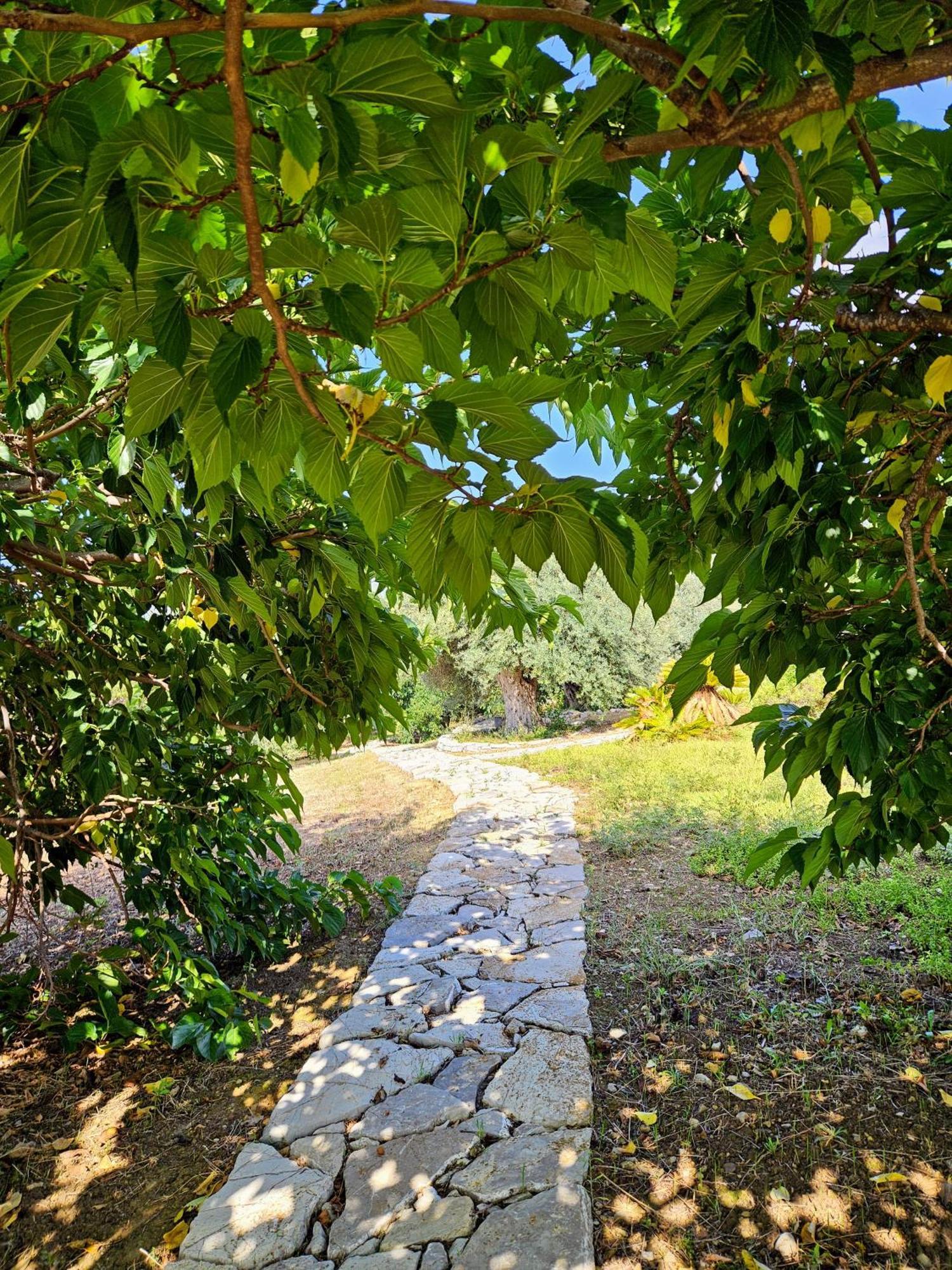 Villa Del Carrubo A Due Passi Dal Mare Di Cefalu Collesano Luaran gambar