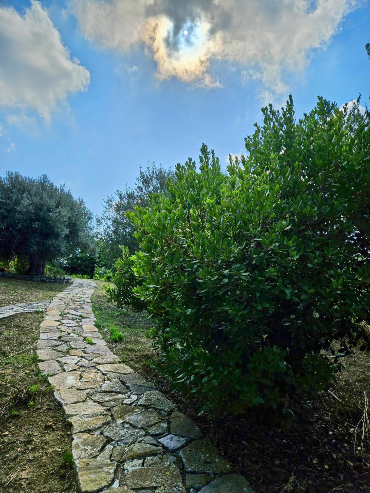 Villa Del Carrubo A Due Passi Dal Mare Di Cefalu Collesano Luaran gambar