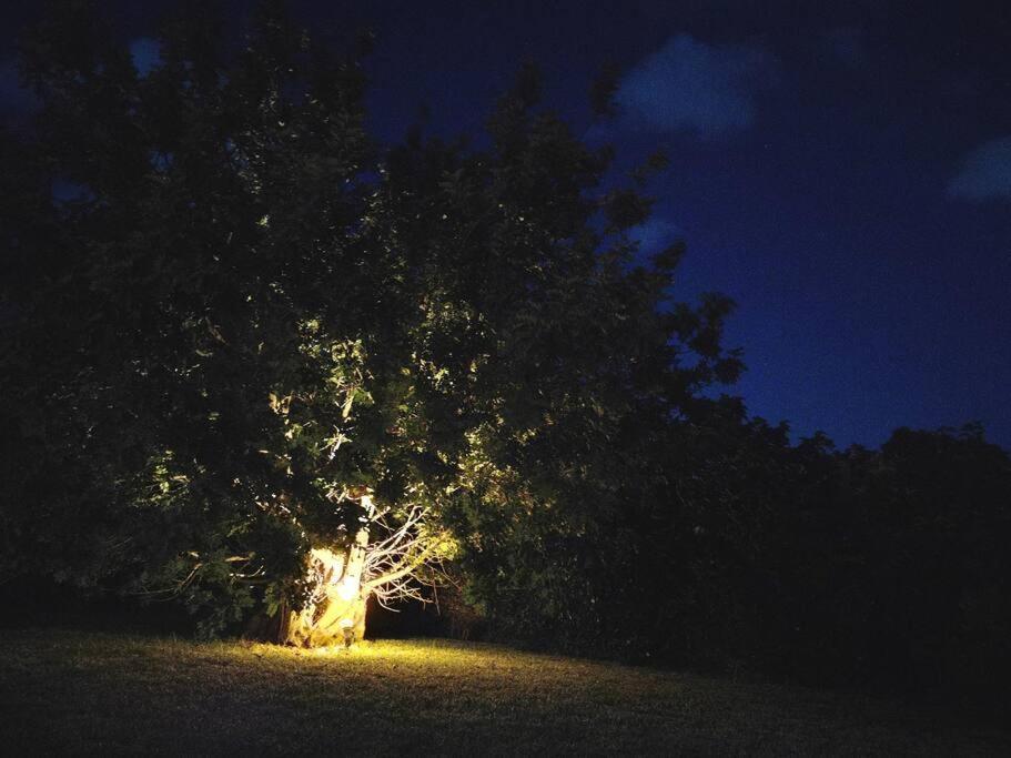 Villa Del Carrubo A Due Passi Dal Mare Di Cefalu Collesano Bilik gambar